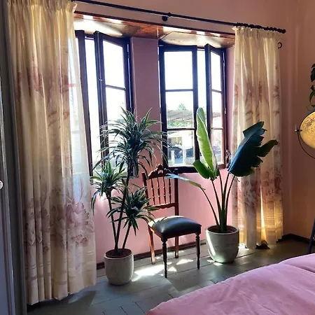 Quinta Pura Natura *