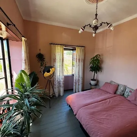 펜션 Quinta Pura Natura *