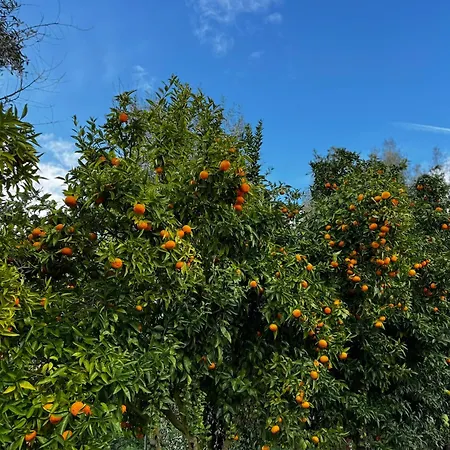 Quinta Pura Natura *
