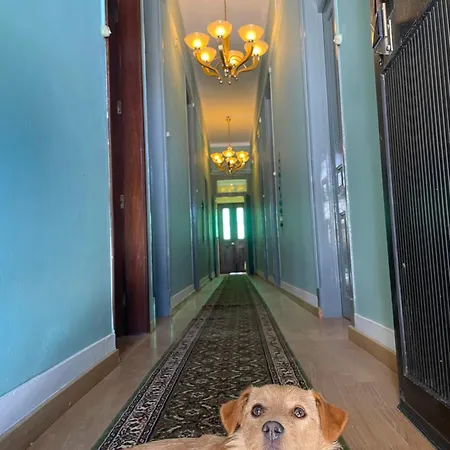 펜션 Quinta Pura Natura Alqueidão de Santo Amaro