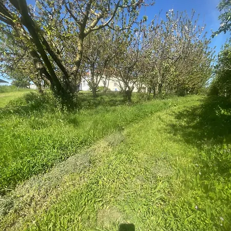 펜션 Quinta Pura Natura *