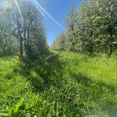 Nyaraló Quinta Pura Natura
