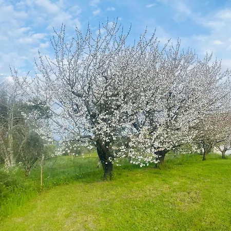 펜션 Quinta Pura Natura *