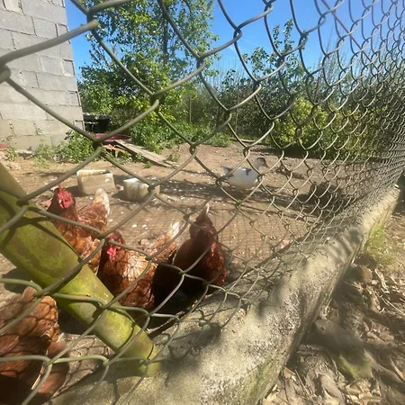 펜션 Quinta Pura Natura Alqueidão de Santo Amaro