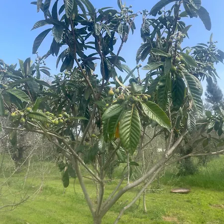 Quinta Pura Natura 펜션