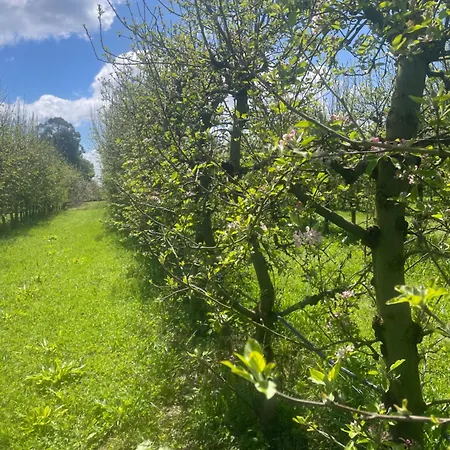 Quinta Pura Natura