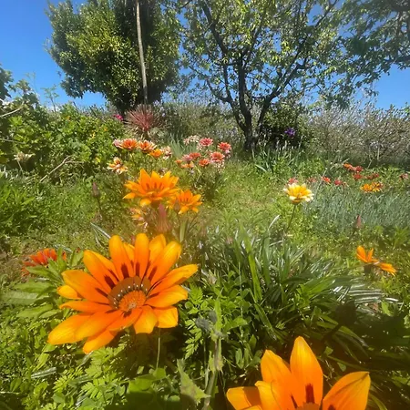 Quinta Pura Natura 펜션 Alqueidão de Santo Amaro