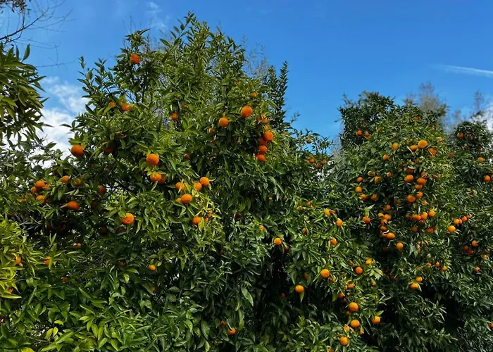 Quinta Pura Natura *