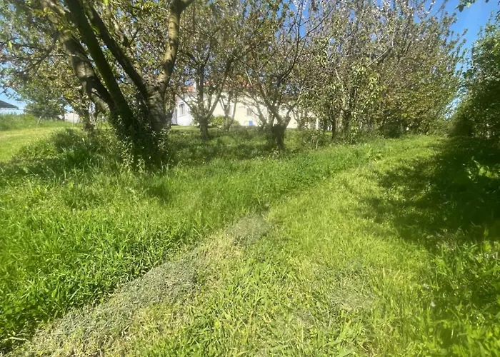 別荘 Quinta Pura Natura *