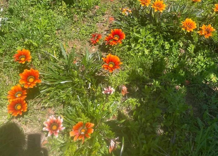 Quinta Pura Natura 別荘 Alqueidão de Santo Amaro