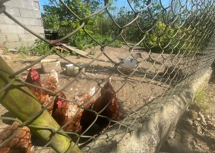 別荘 Quinta Pura Natura Alqueidão de Santo Amaro