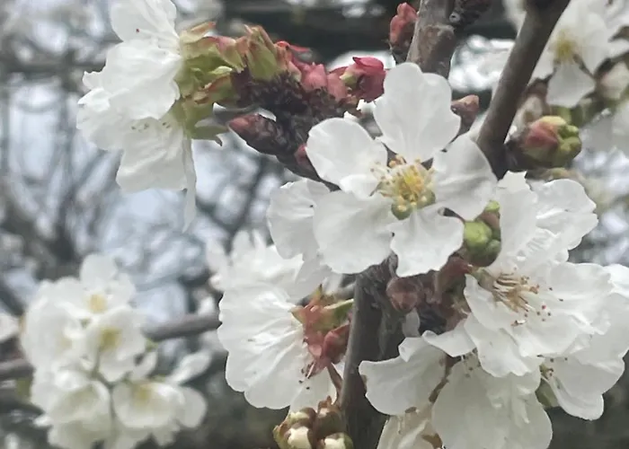Quinta Pura Natura * Alqueidão de Santo Amaro
