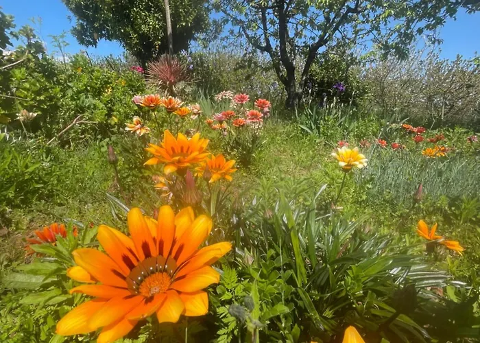 Quinta Pura Natura 別荘 Alqueidão de Santo Amaro