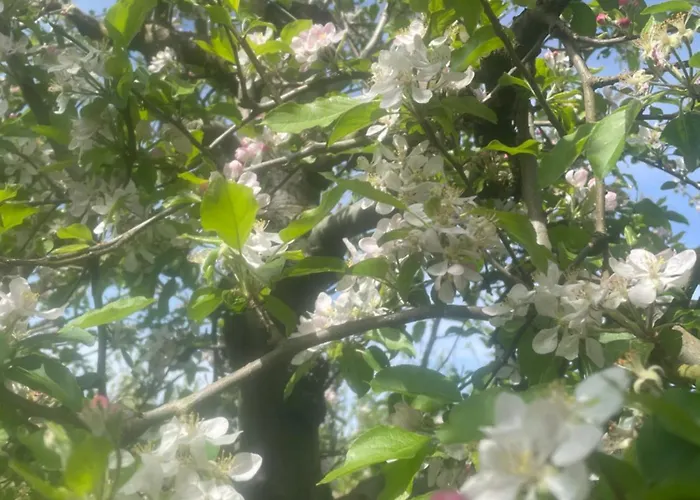 בית נופש Quinta Pura Natura *